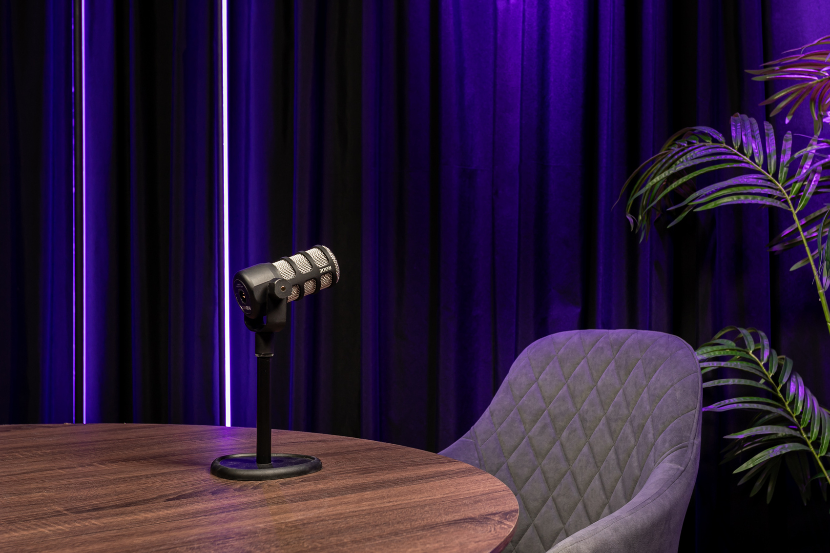 Фотография интерьера помещении Оранж Royal Flush Studio
